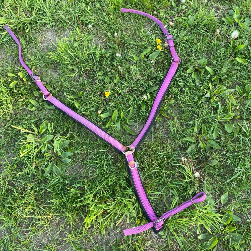 Horse breast collar